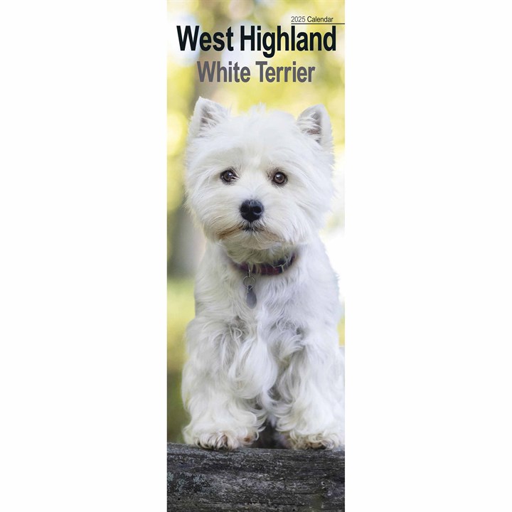 West Highland White Terrier Slim Calendar 2025