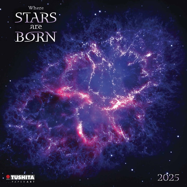 Where Stars Are Born Calendar 2025