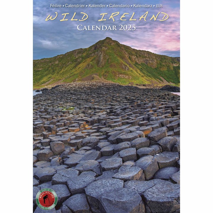 Wild Ireland A5 Calendar 2025