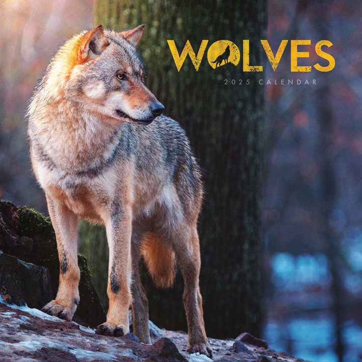 Wolves Mini Calendar 2025
