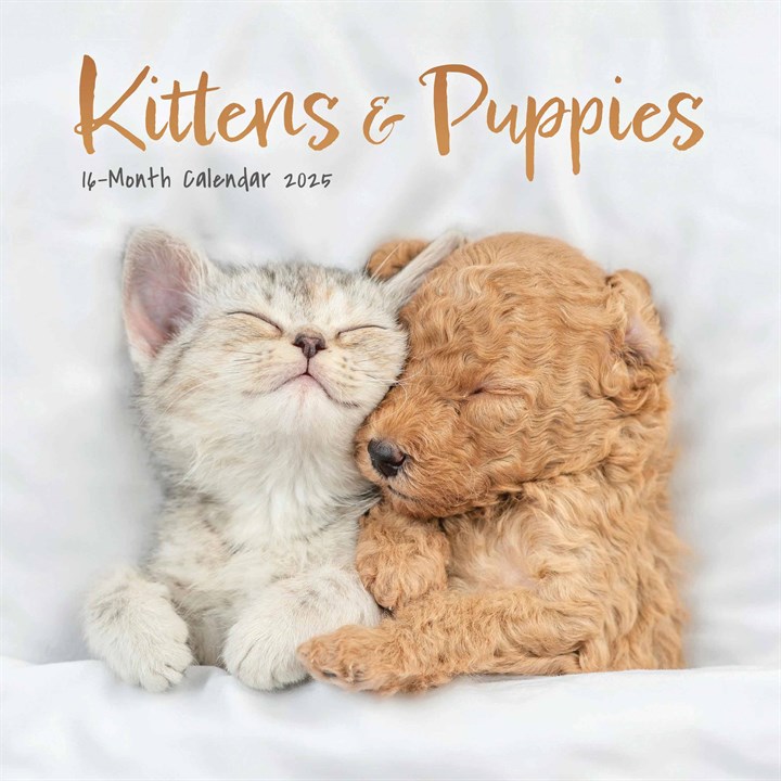 Kittens & Puppies Mini Calendar 2025