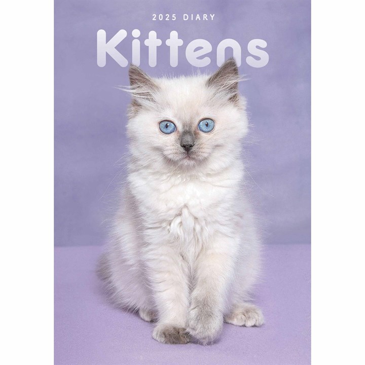 Kittens A5 Diary 2025