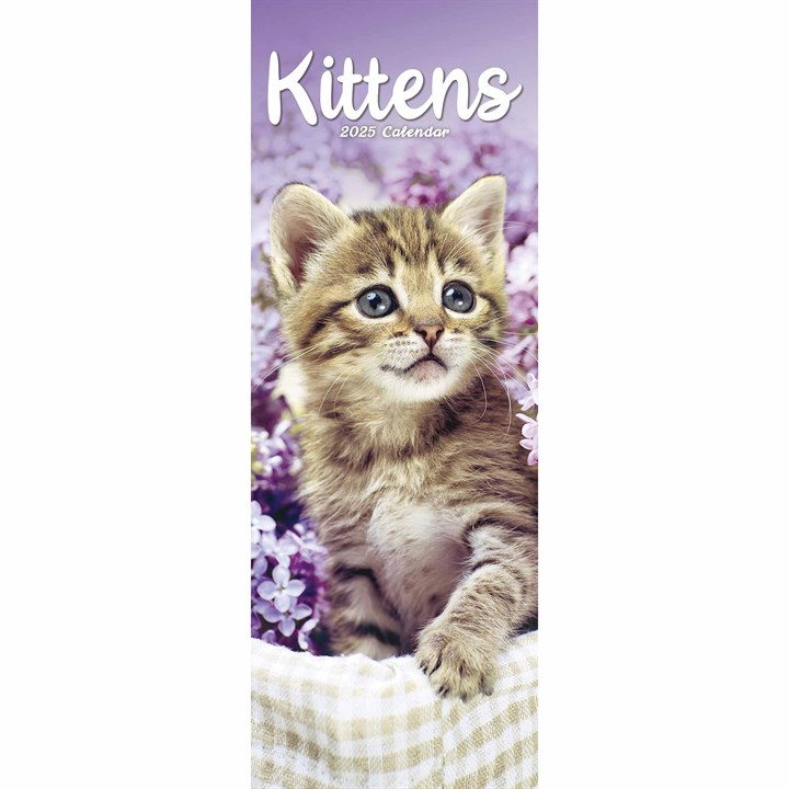 Kittens Slim Calendar 2025