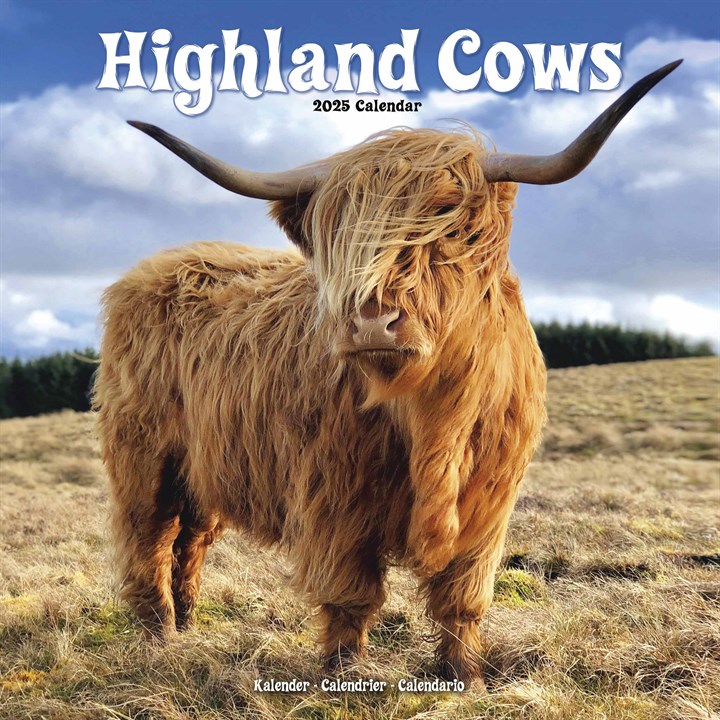 Highland Cows Calendar 2025