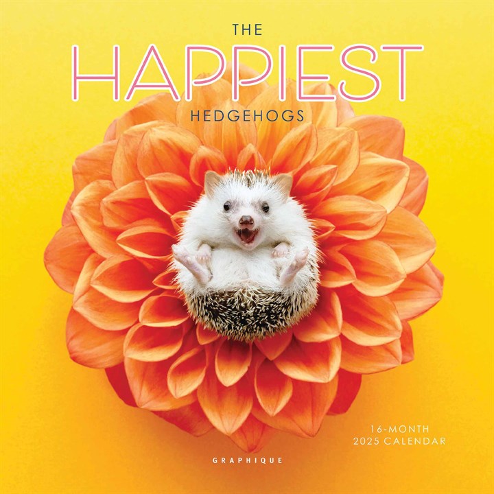 The Happiest Hedgehogs Mini Calendar 2025