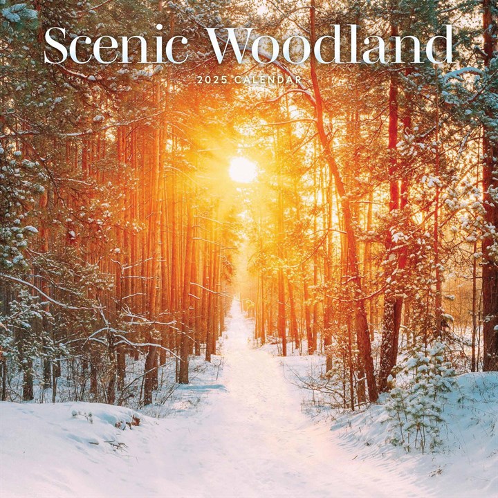 Scenic Woodland Calendar 2025