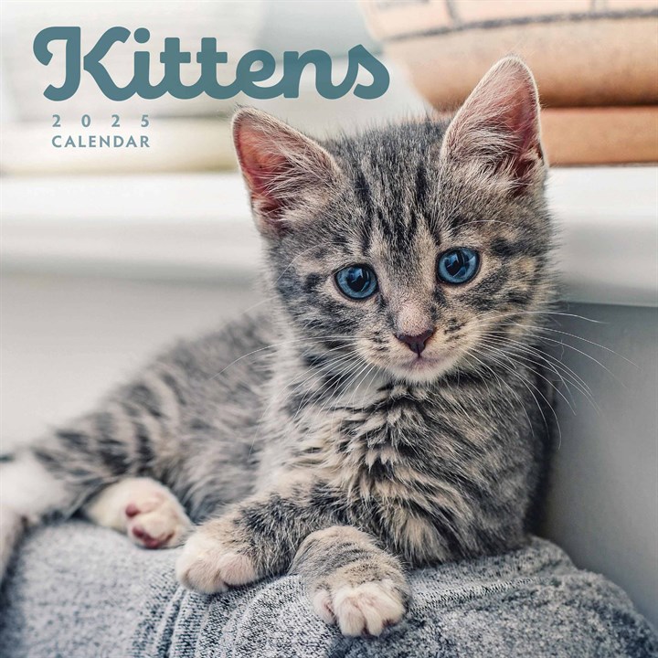 Kittens Mini Calendar 2025