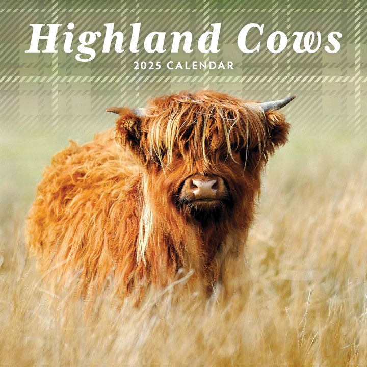 Highland Cows Mini Calendar 2025