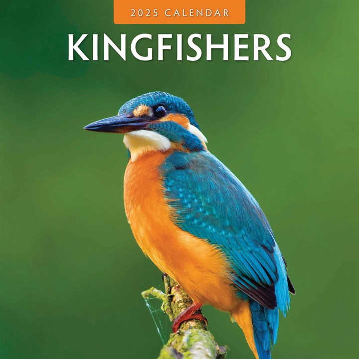 Kingfishers Calendar 2025