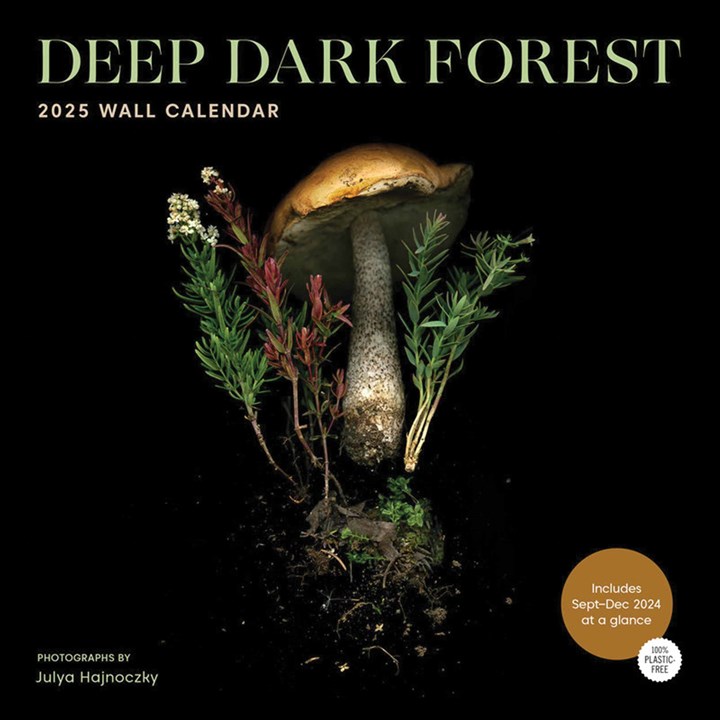 Deep Dark Forest Calendar 2025