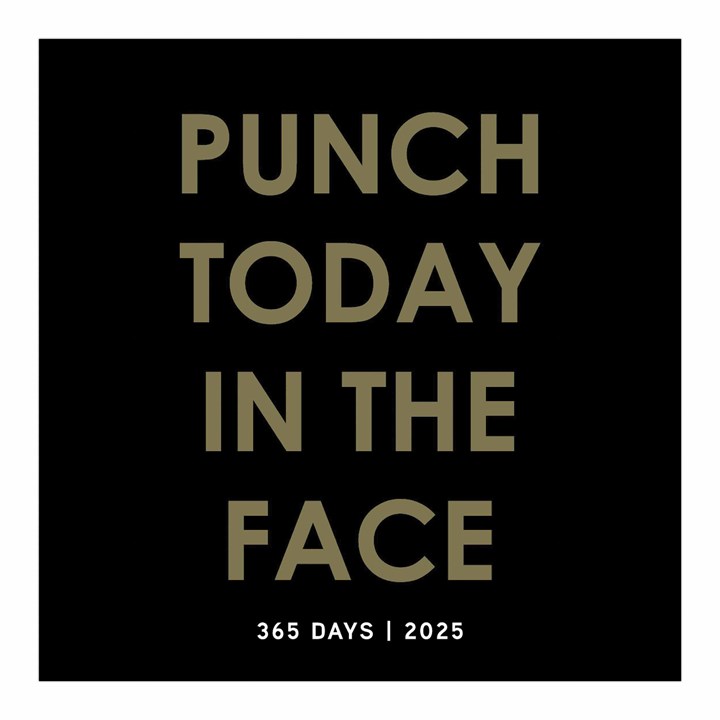 Punch Today In the Face Desk Calendar 2025