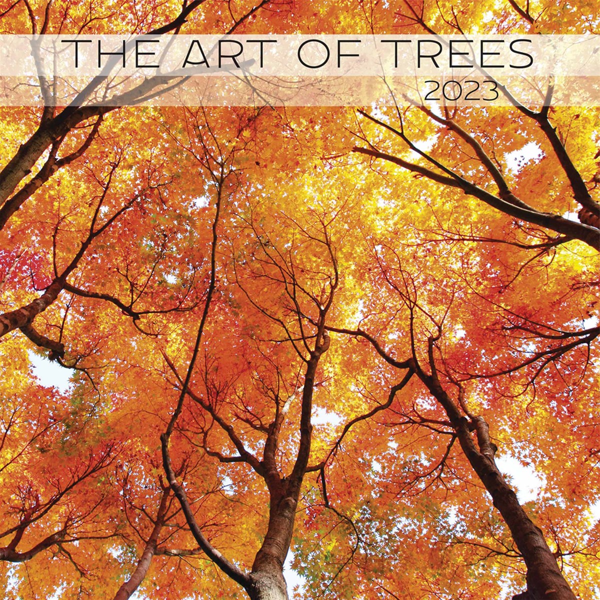 The Majesty Of Trees 2023 Calendars