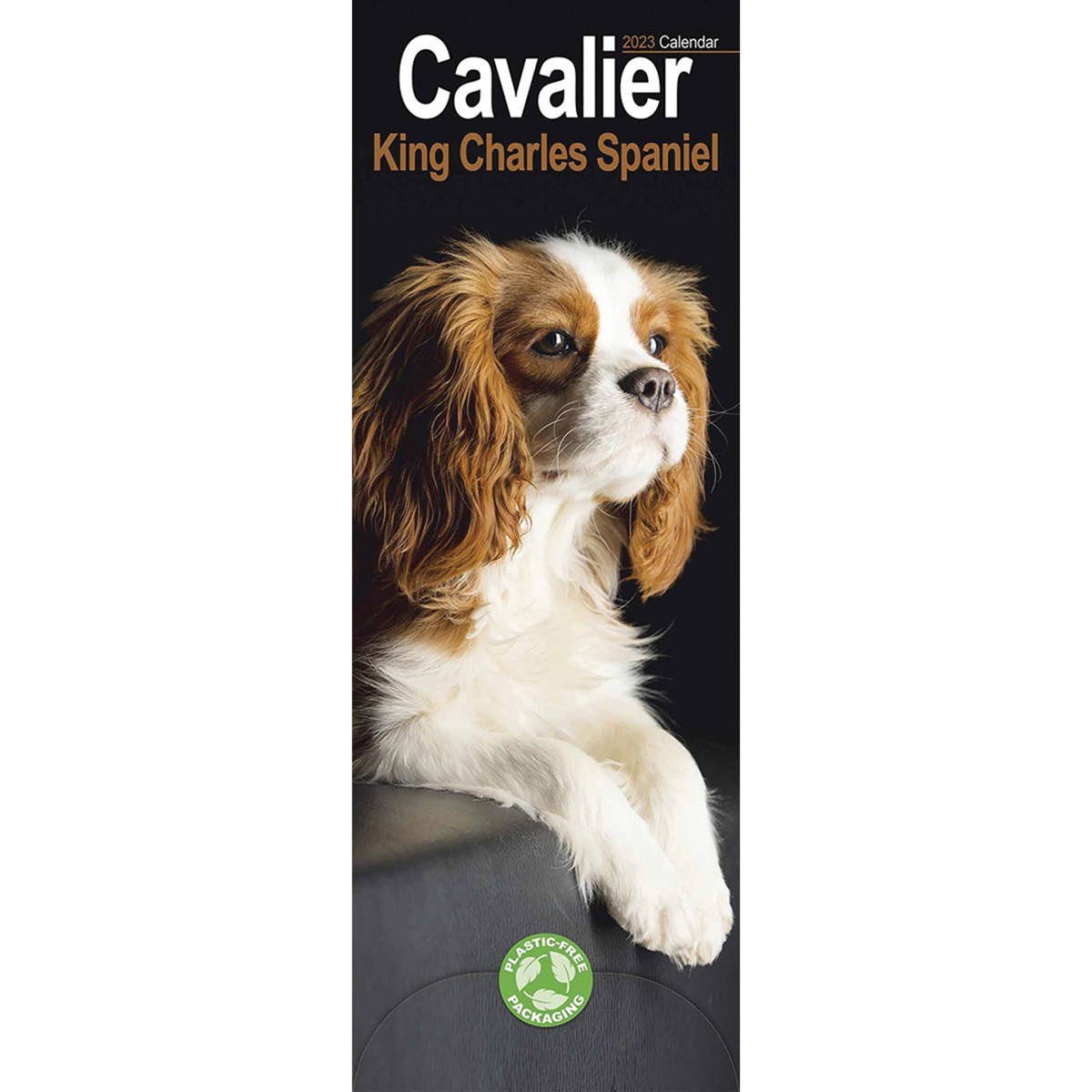 Cavalier King Charles Spaniel Slim 2023 Calendars