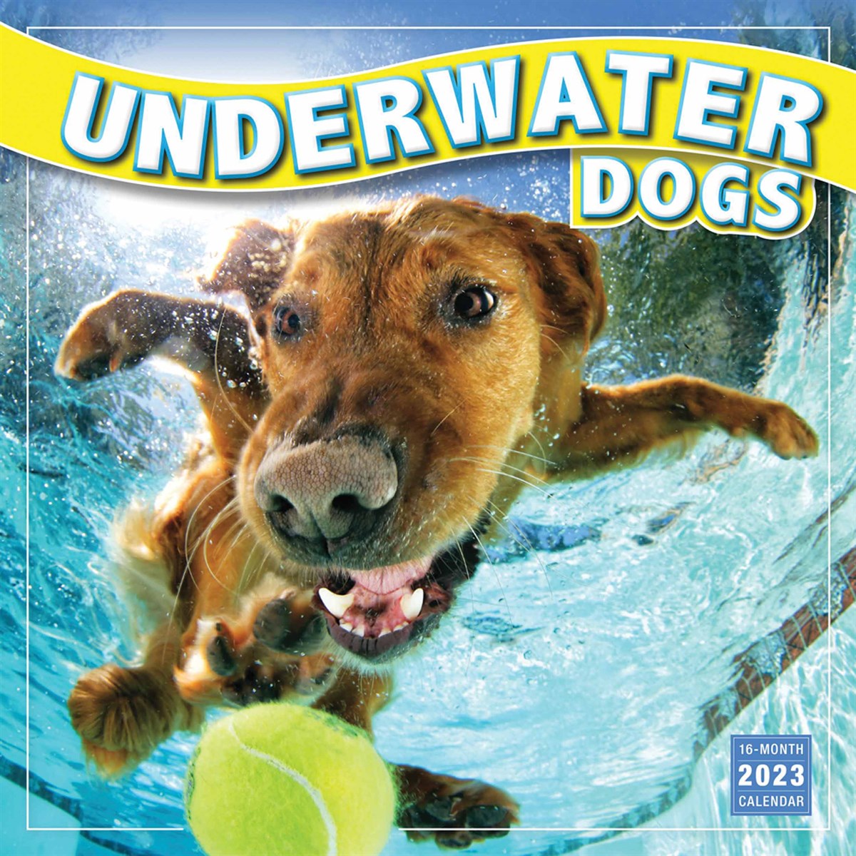 Underwater Dogs 2023 Calendars