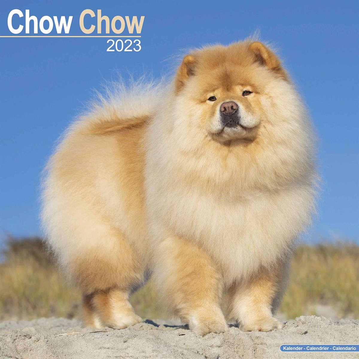 Chow Chow 2023 Calendars