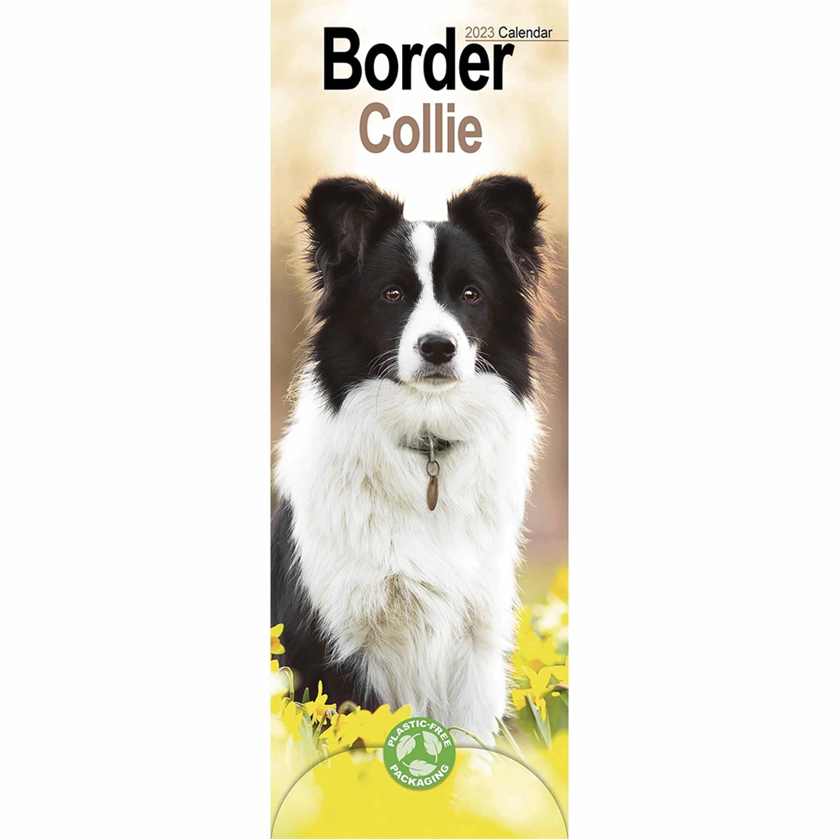 Border Collie Slim 2023 Calendars