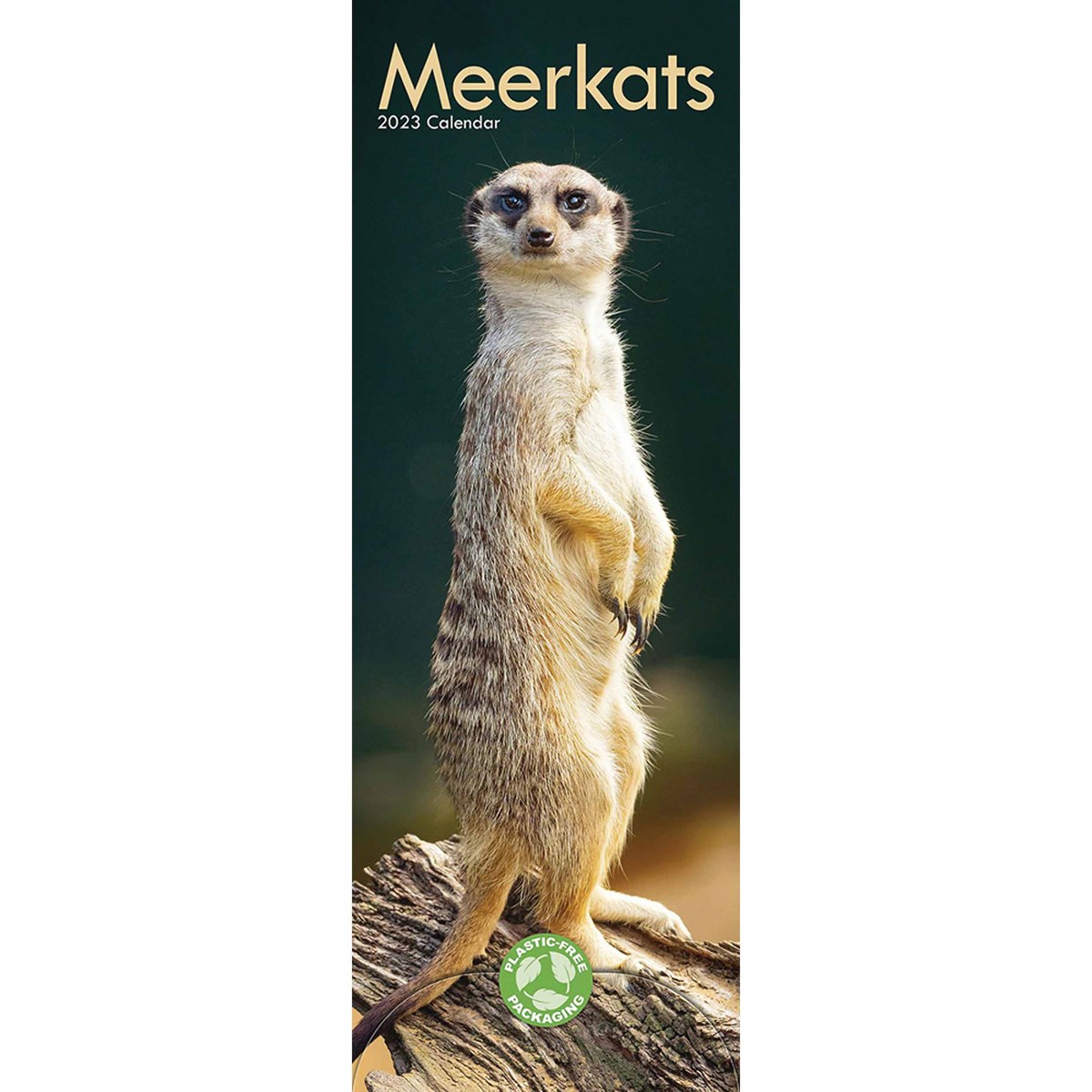 Meerkats Slim 2023 Calendars