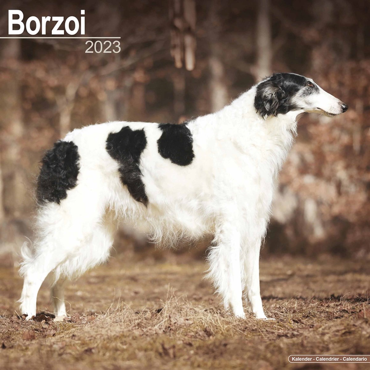 Borzoi 2023 Calendars