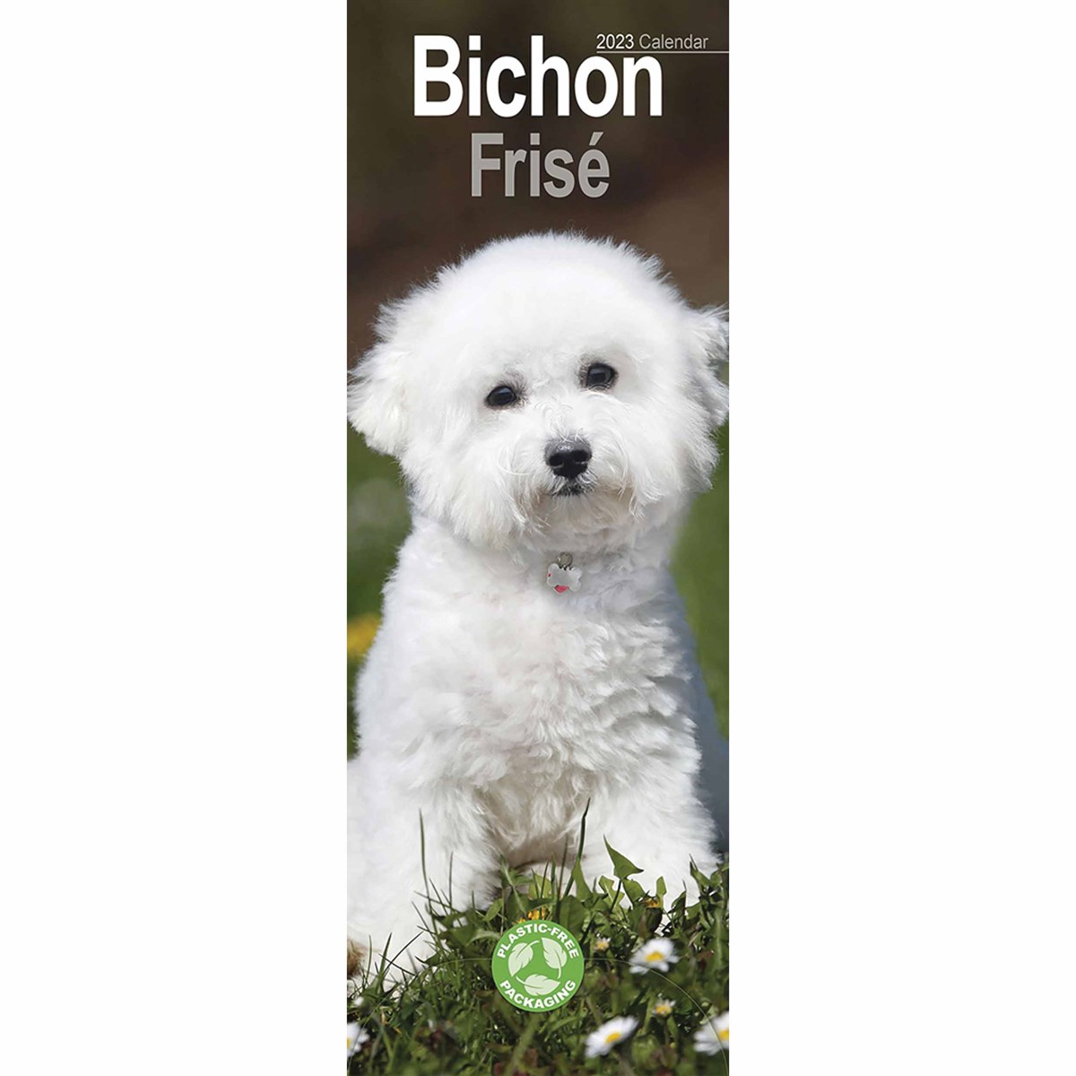 Bichon Frisé Slim 2023 Calendars