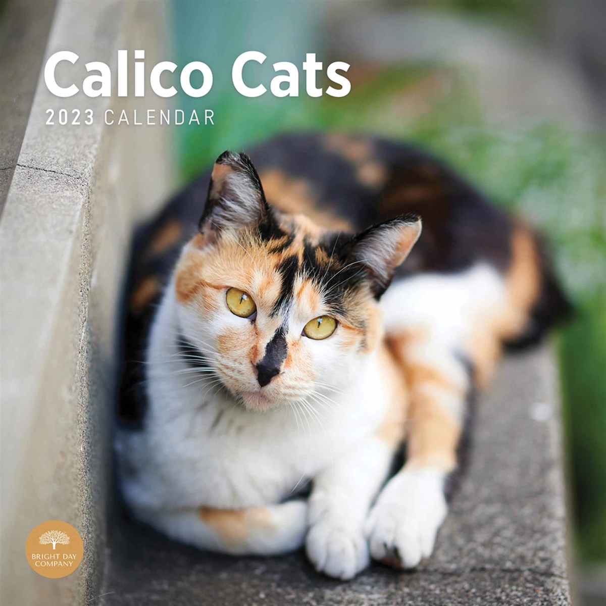Just Calico Cats 2023 Calendars