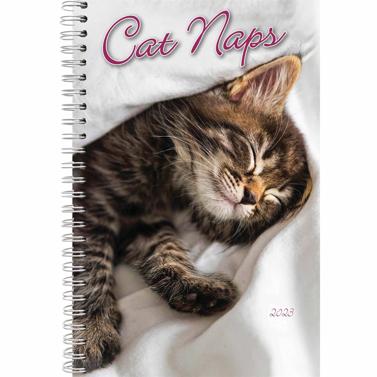 Cat Naps A5 Diary 2023