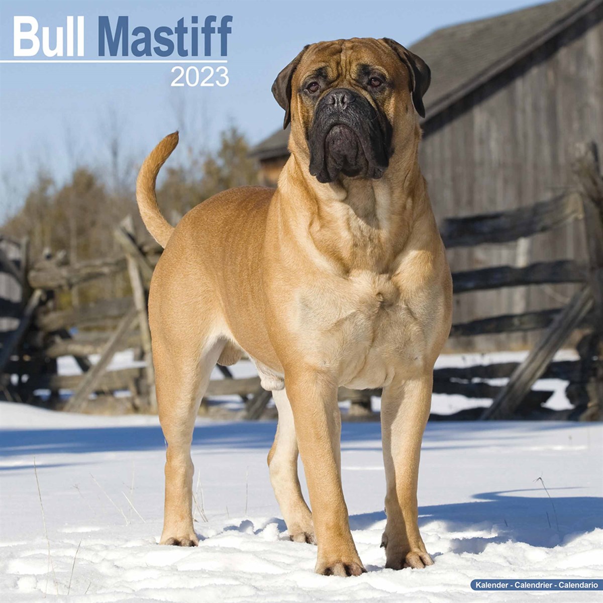 Bull Mastiff 2023 Calendars