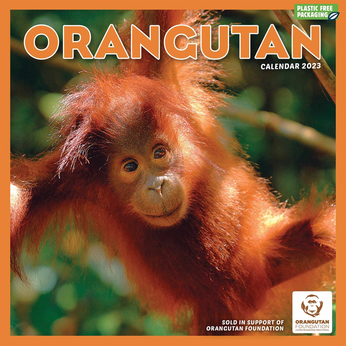 Orangutan 2023 Calendars