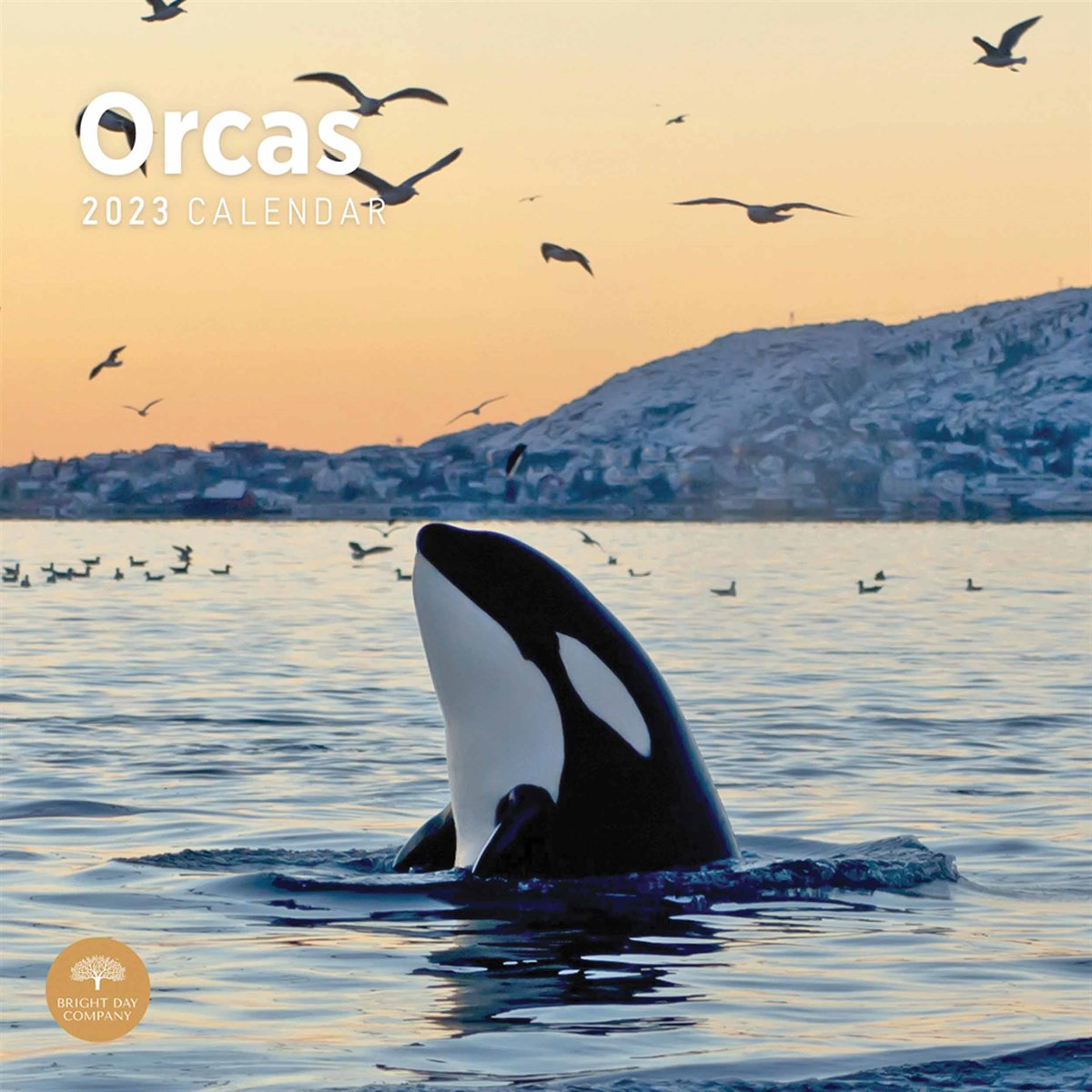 Orcas 2023 Calendars