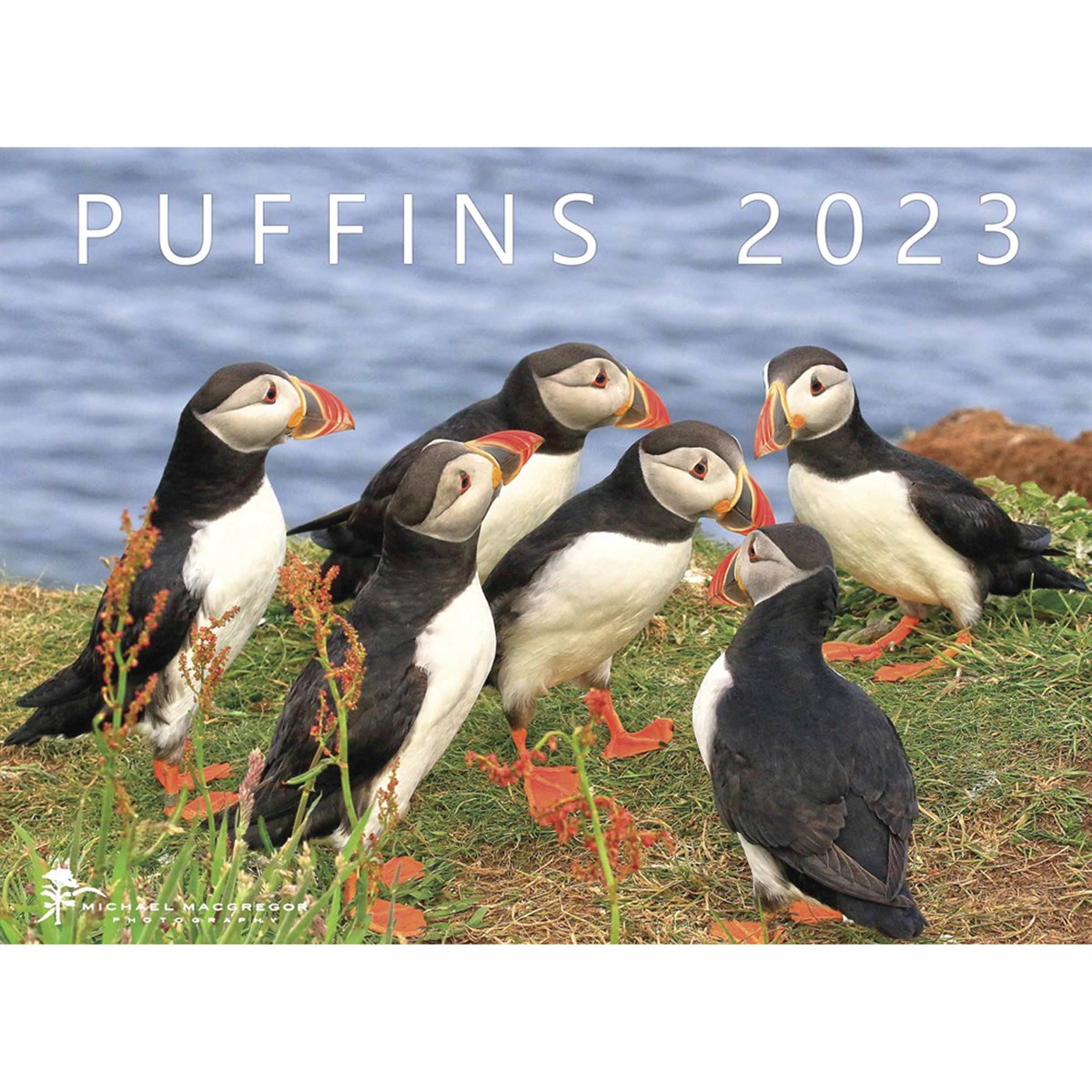Michael MacGregor, Puffins 2023 Calendars