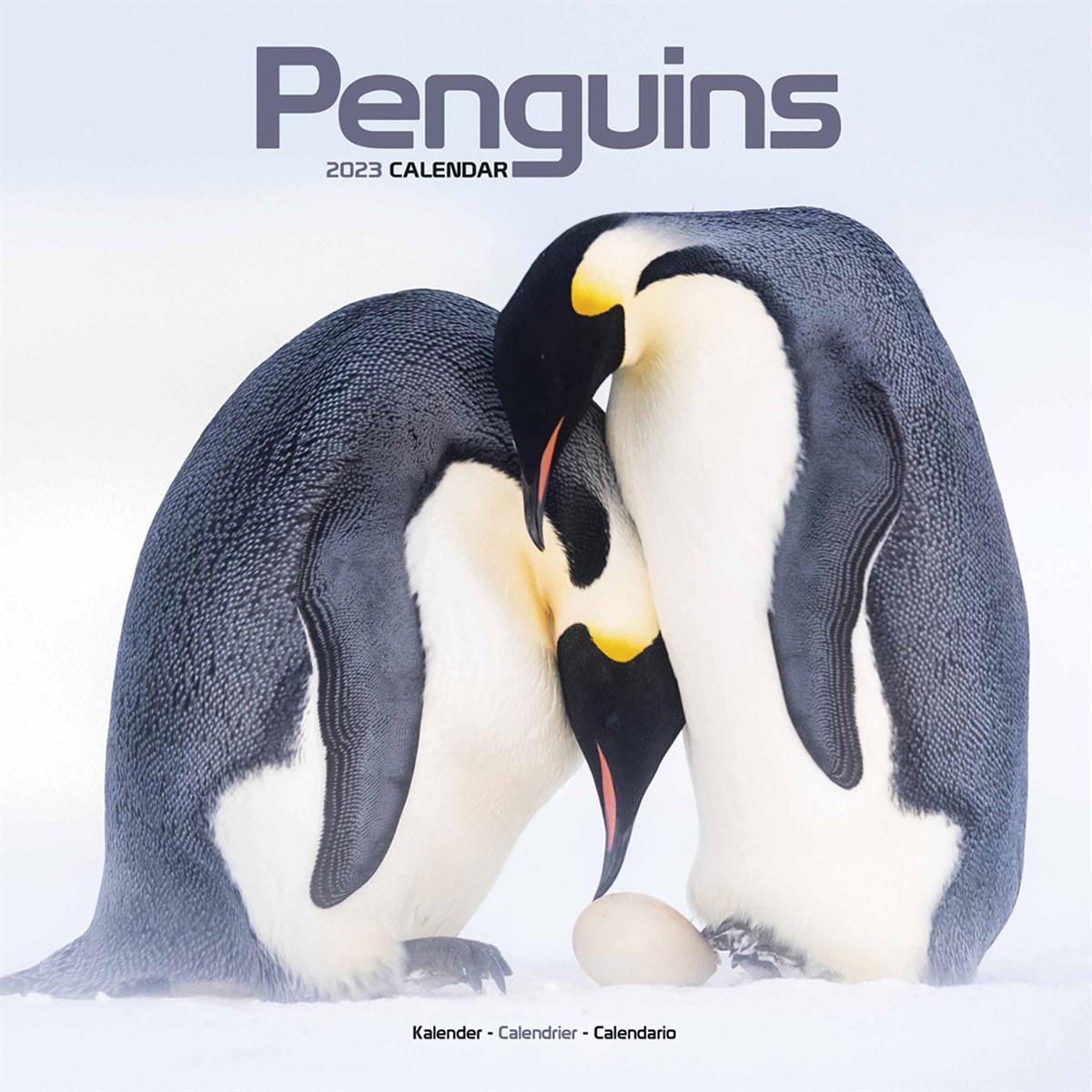 Penguin Calendar 2023