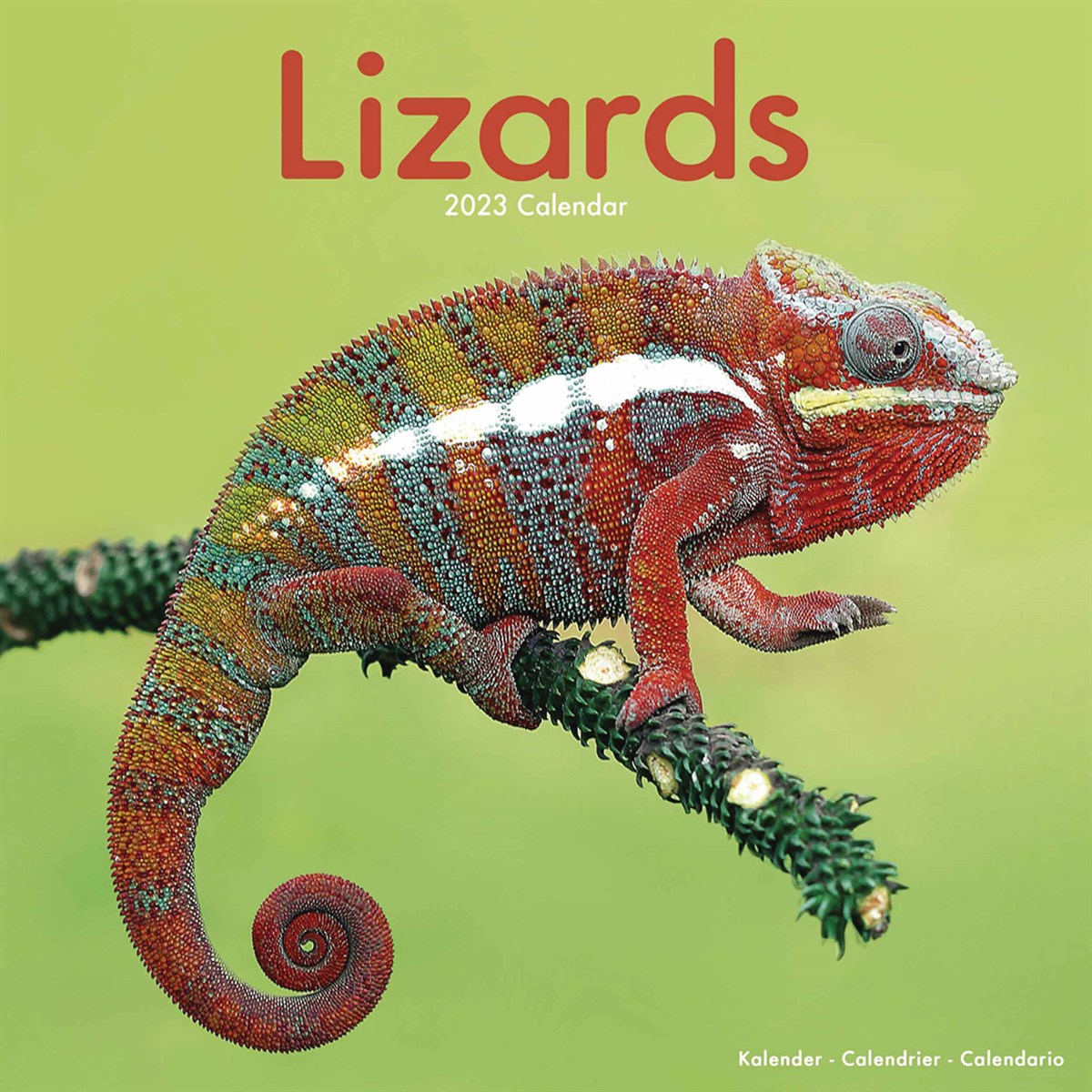 Lizards 2023 Calendars