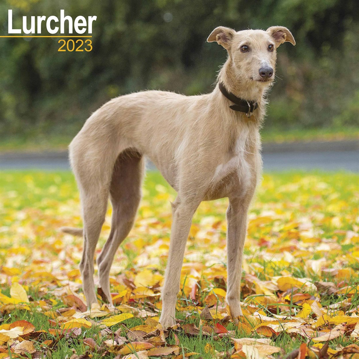 Lurcher 2023 Calendars