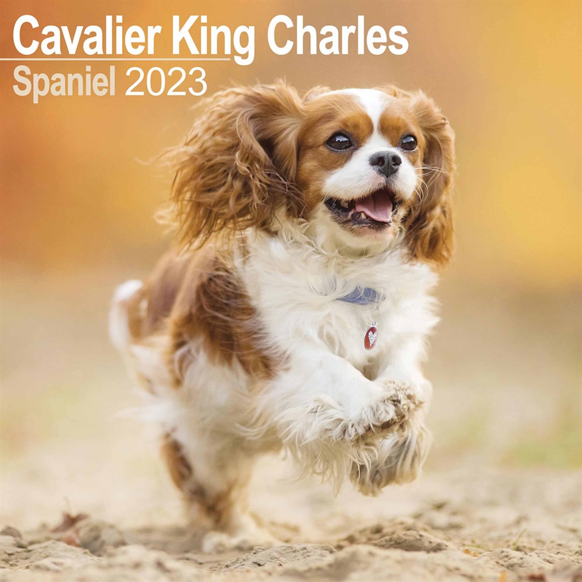 Cavalier King Charles Spaniel 2023 Calendars