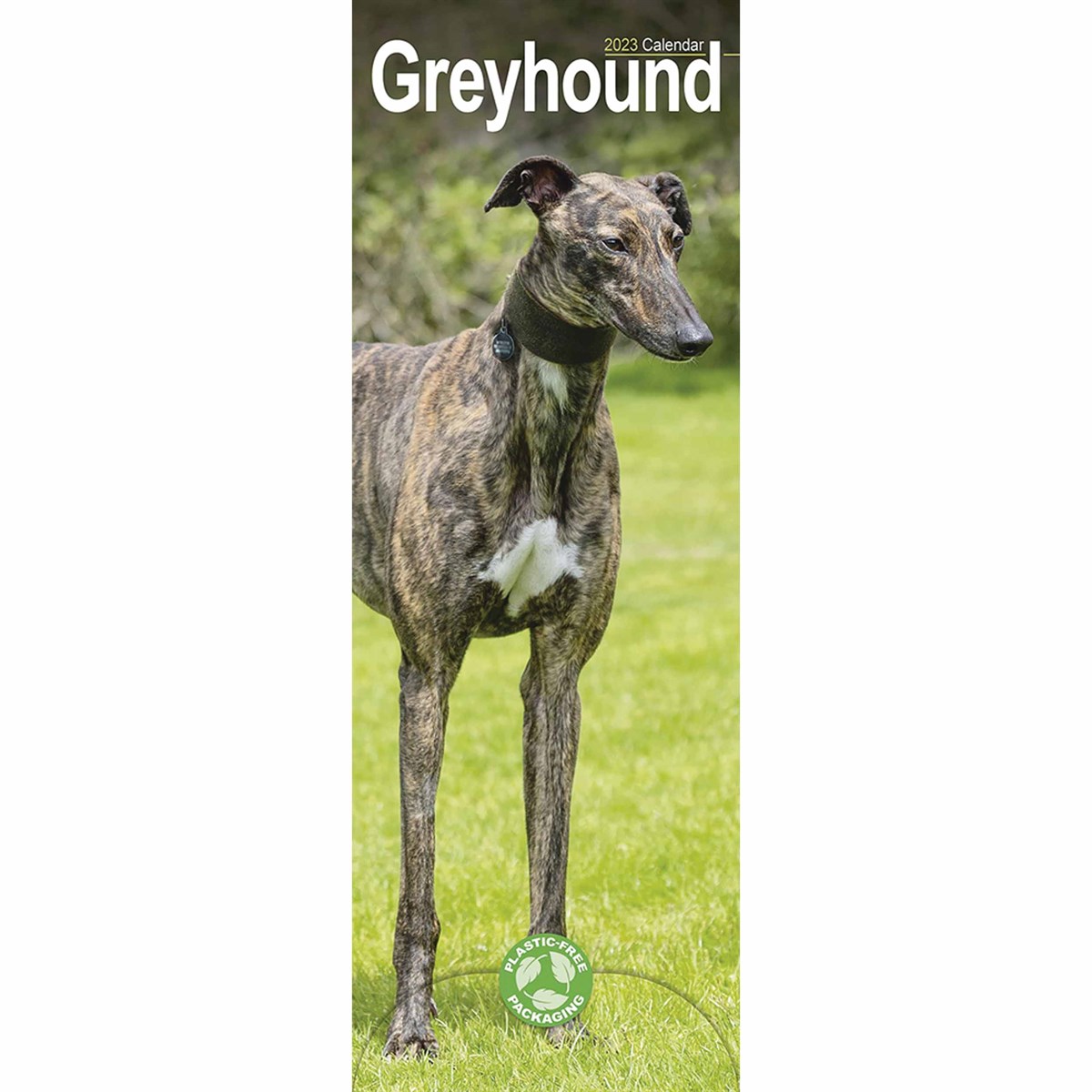 Greyhound Slim 2023 Calendars