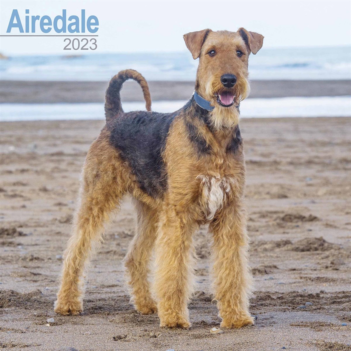 Airedale Terrier 2023 Calendars