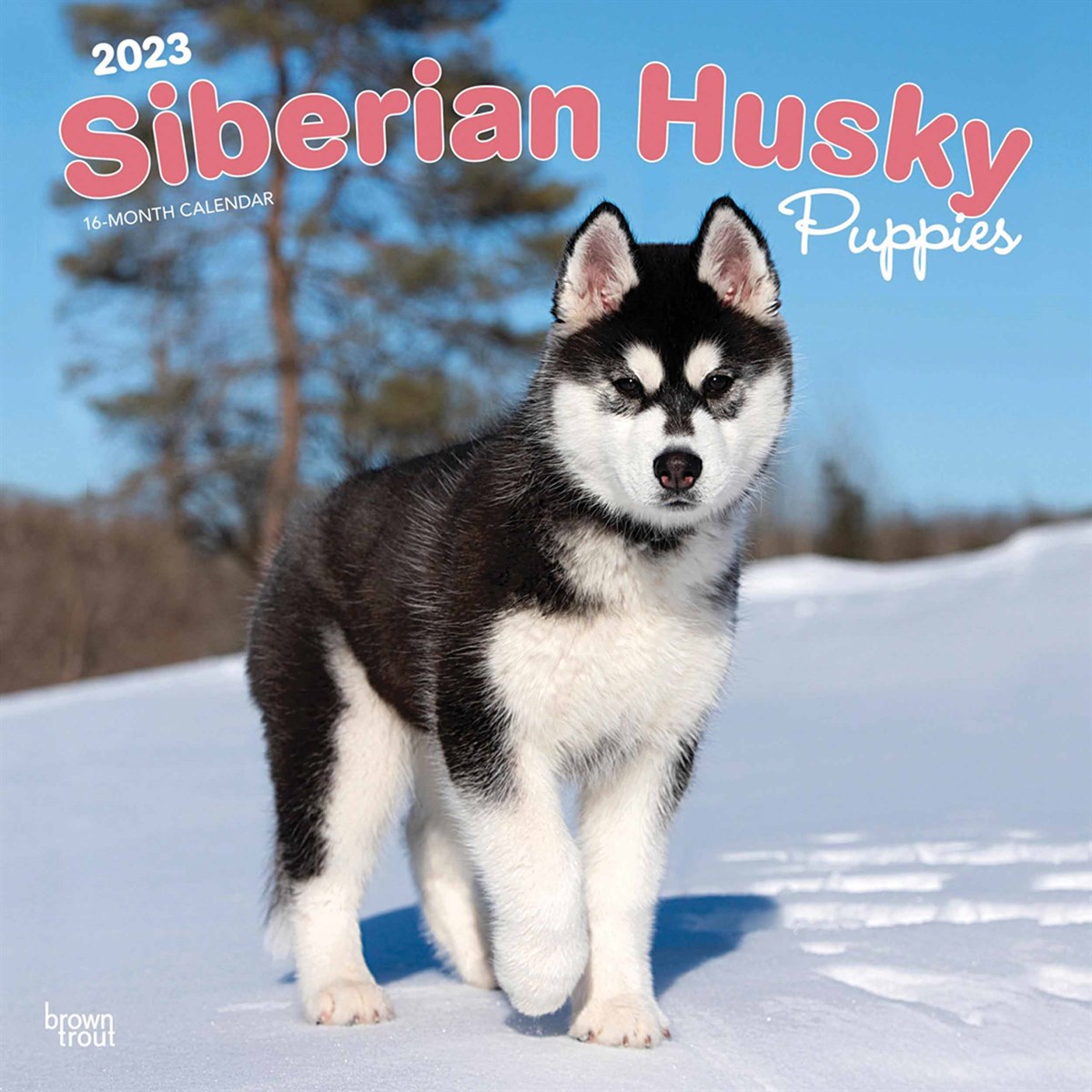 Siberian Husky Puppies 2023 Calendars