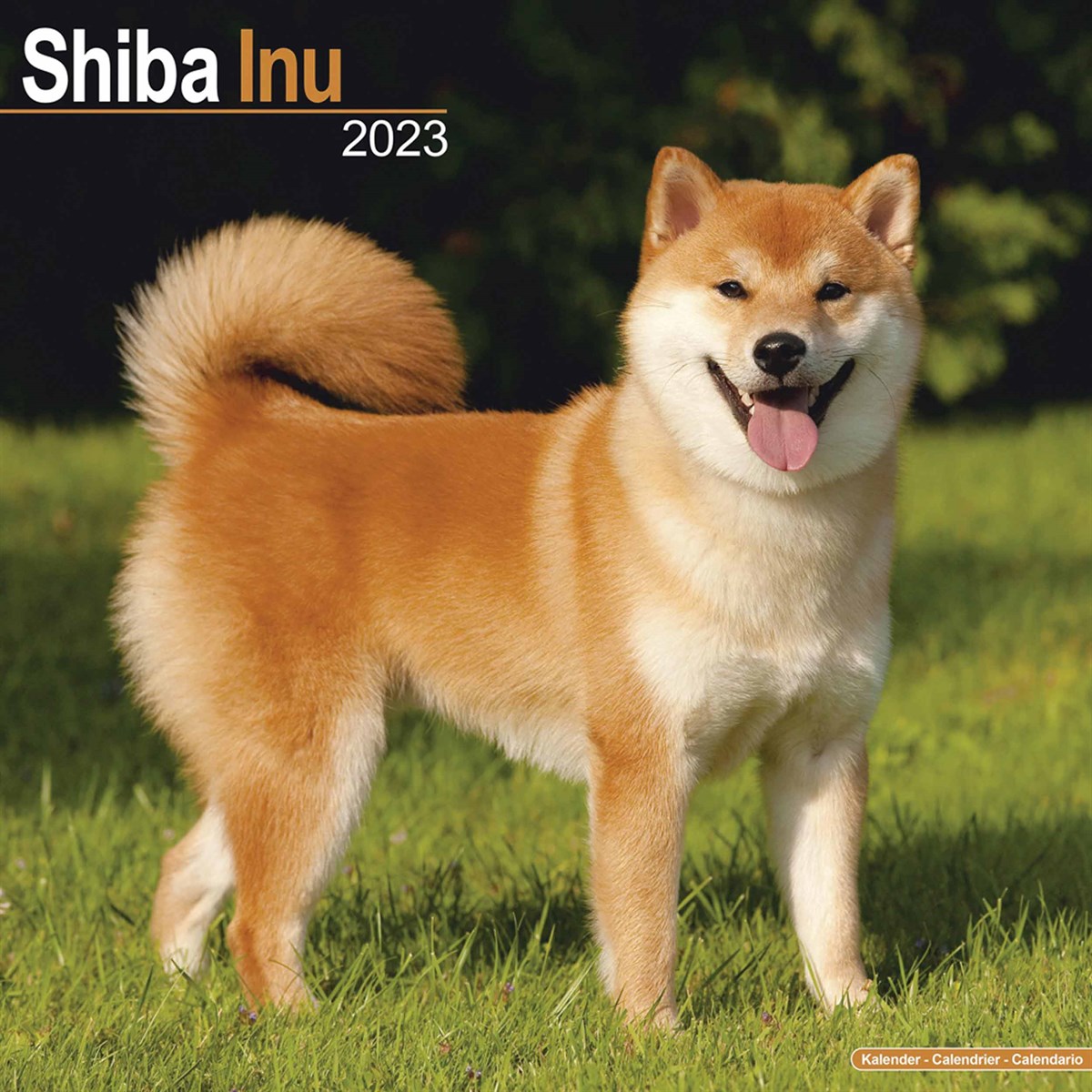Shiba Inu 2023 Calendars