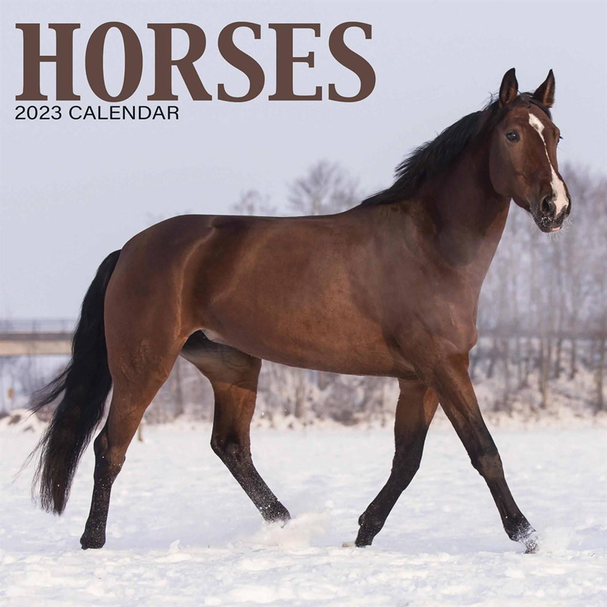 Horses Mini 2023 Calendars