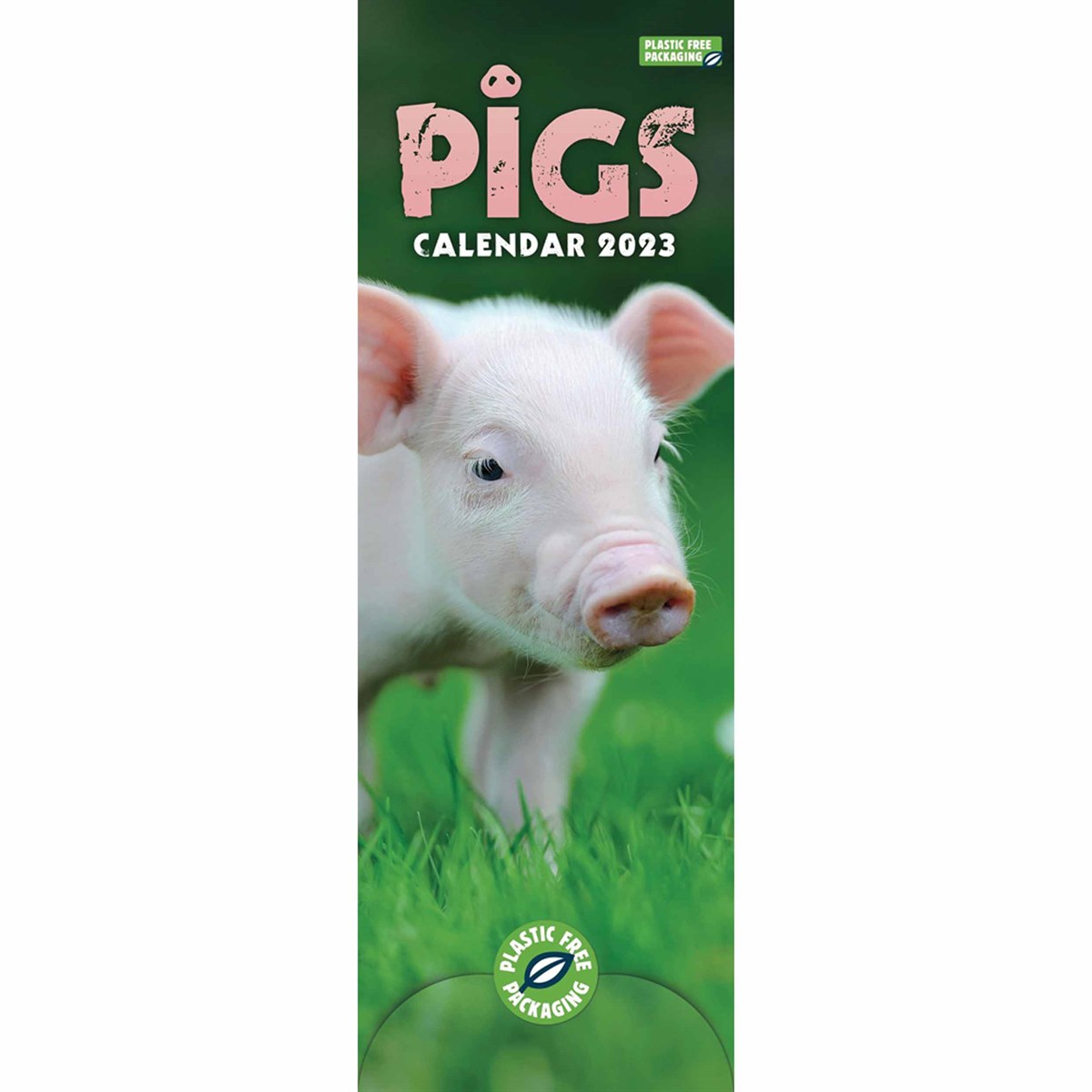 Pigs Slim 2023 Calendars