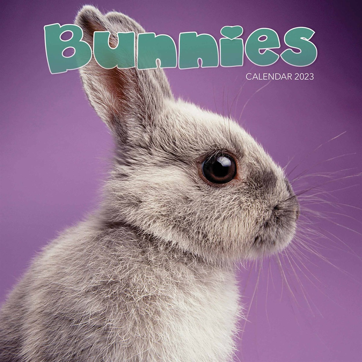 Bunnies Mini 2023 Calendars
