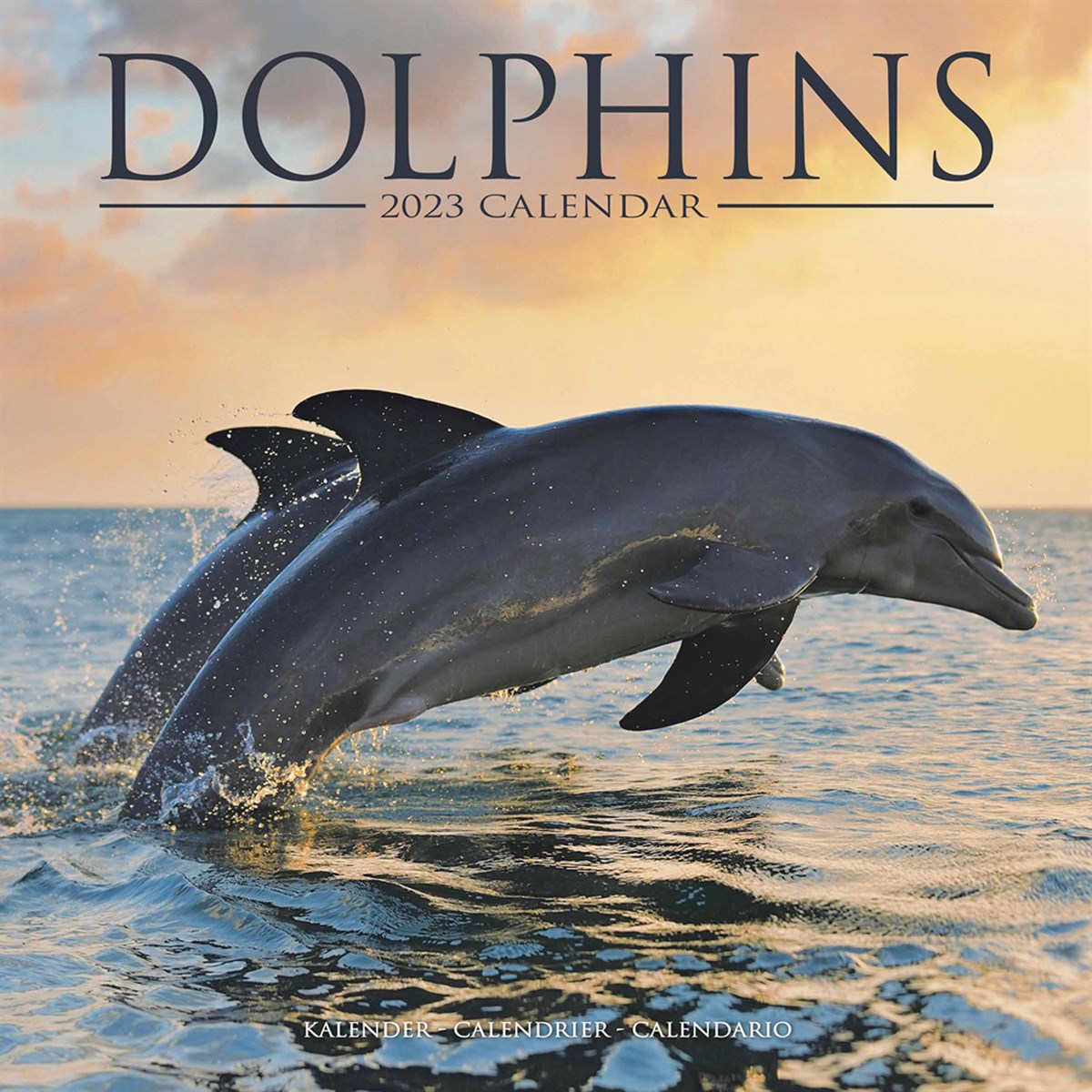 Dolphins 2023 Calendars