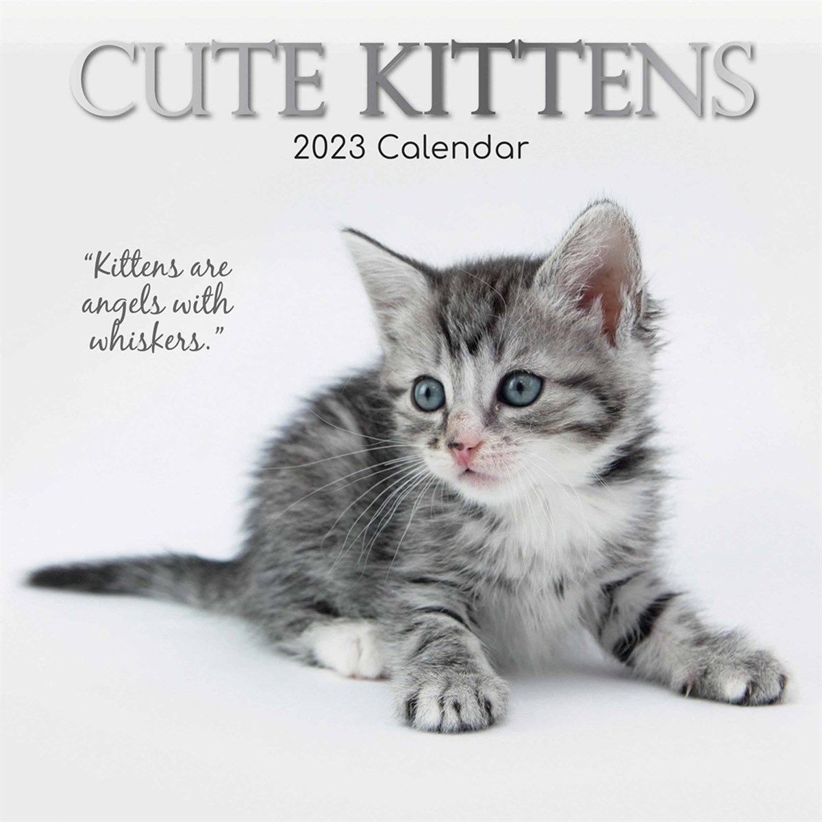 Cute Kittens 2023 Calendars