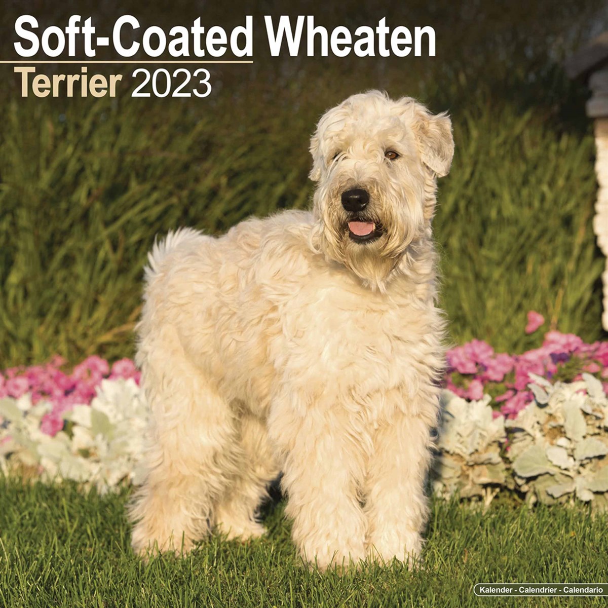 Soft-Coated Wheaten Terrier 2023 Calendars