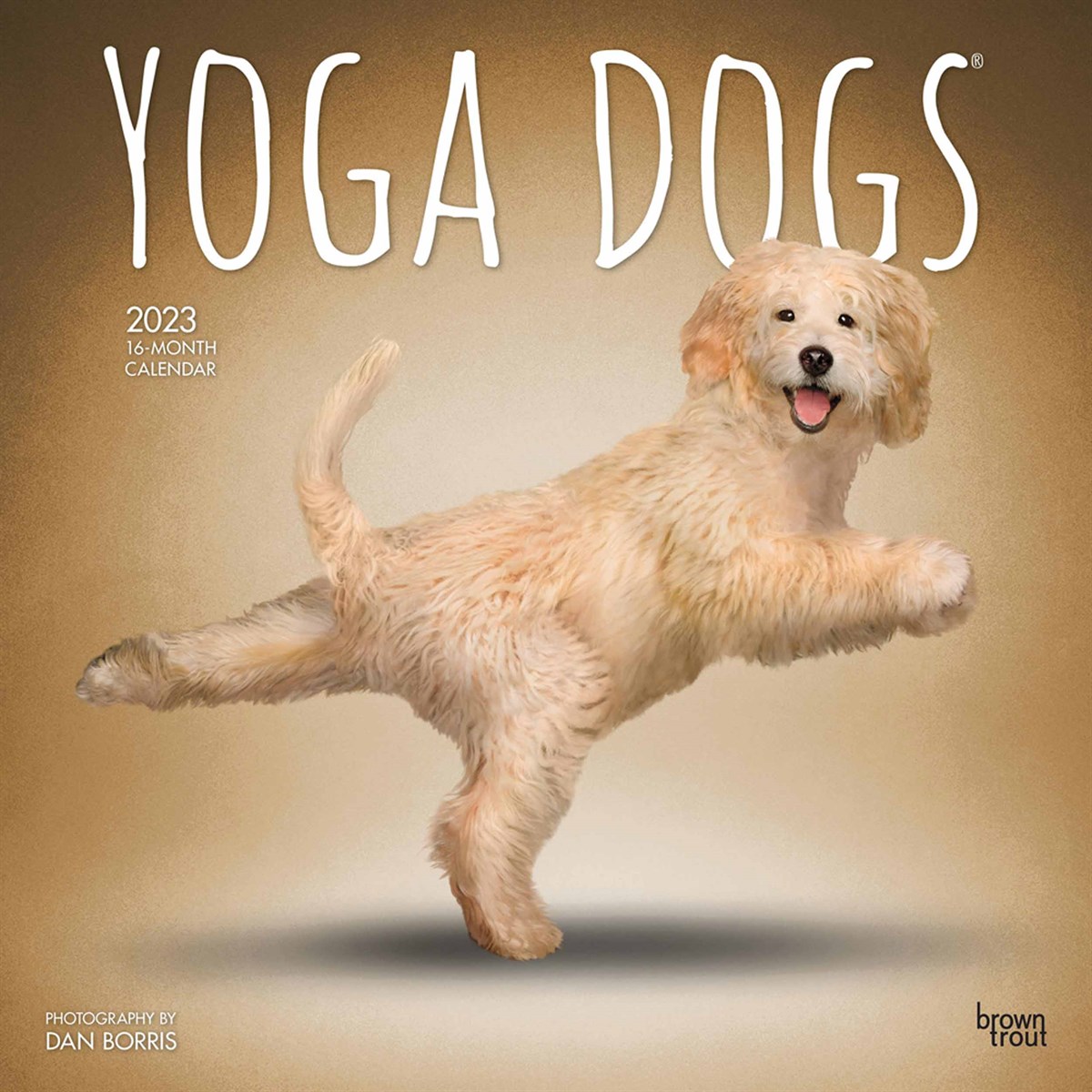 Yoga Dogs 2023 Calendars