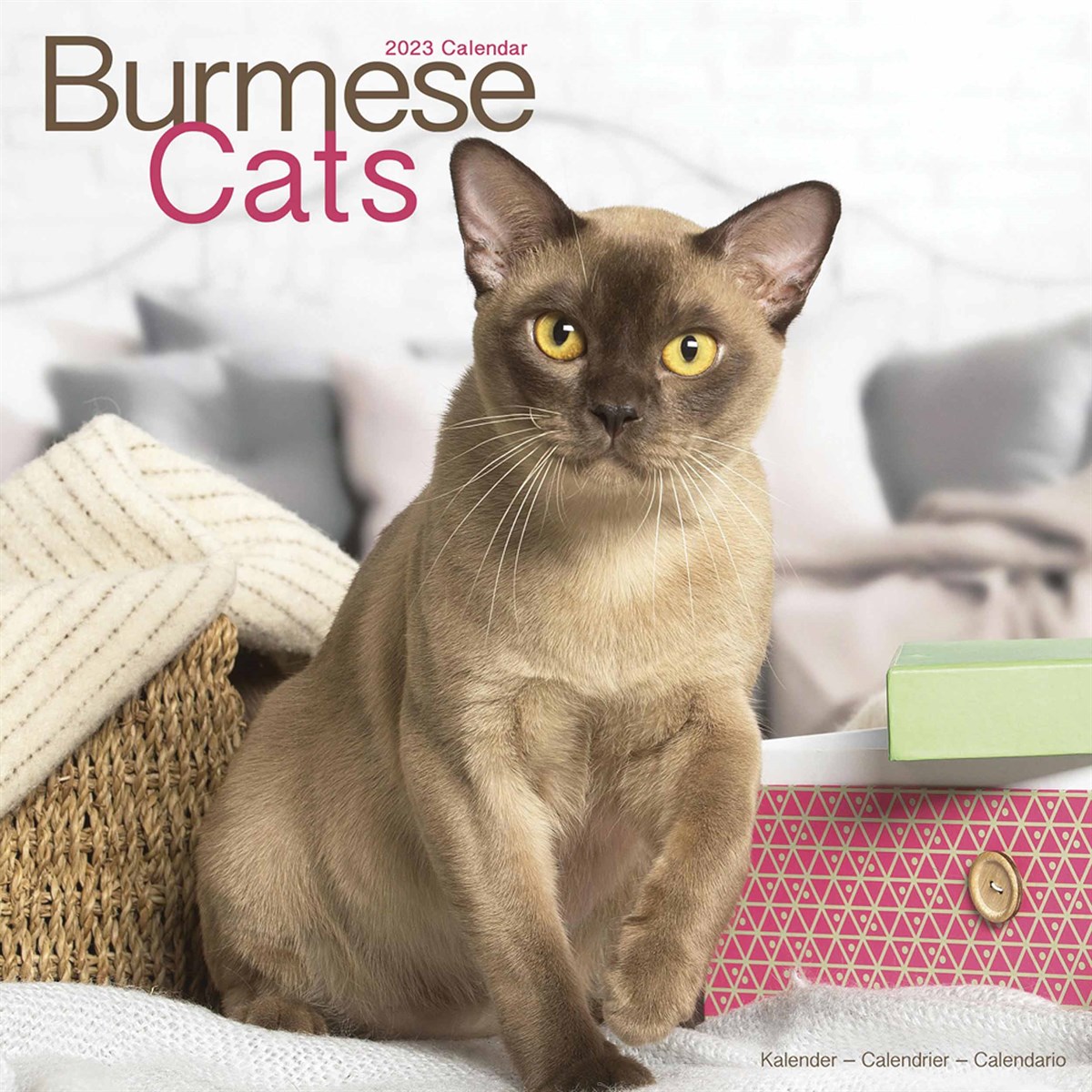 Burmese Cats 2023 Calendars