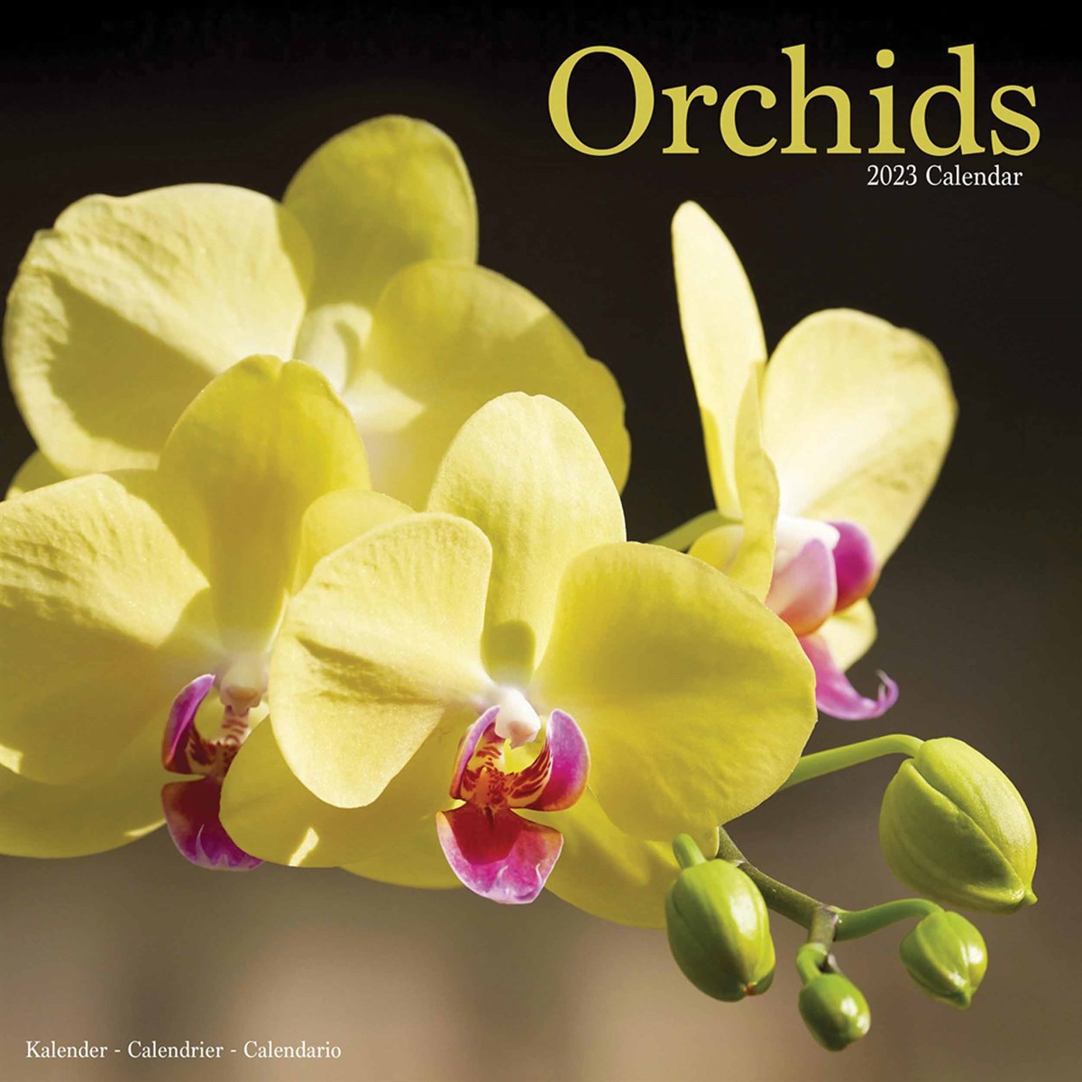 Orchids 2023 Calendars