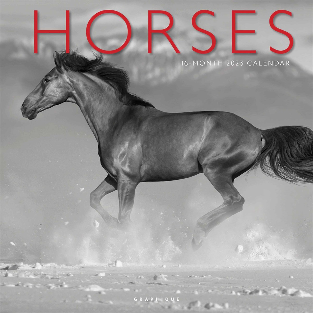 Black & White Horses 2023 Calendars