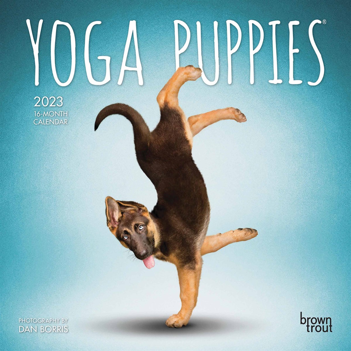 Yoga Puppies Mini 2023 Calendars