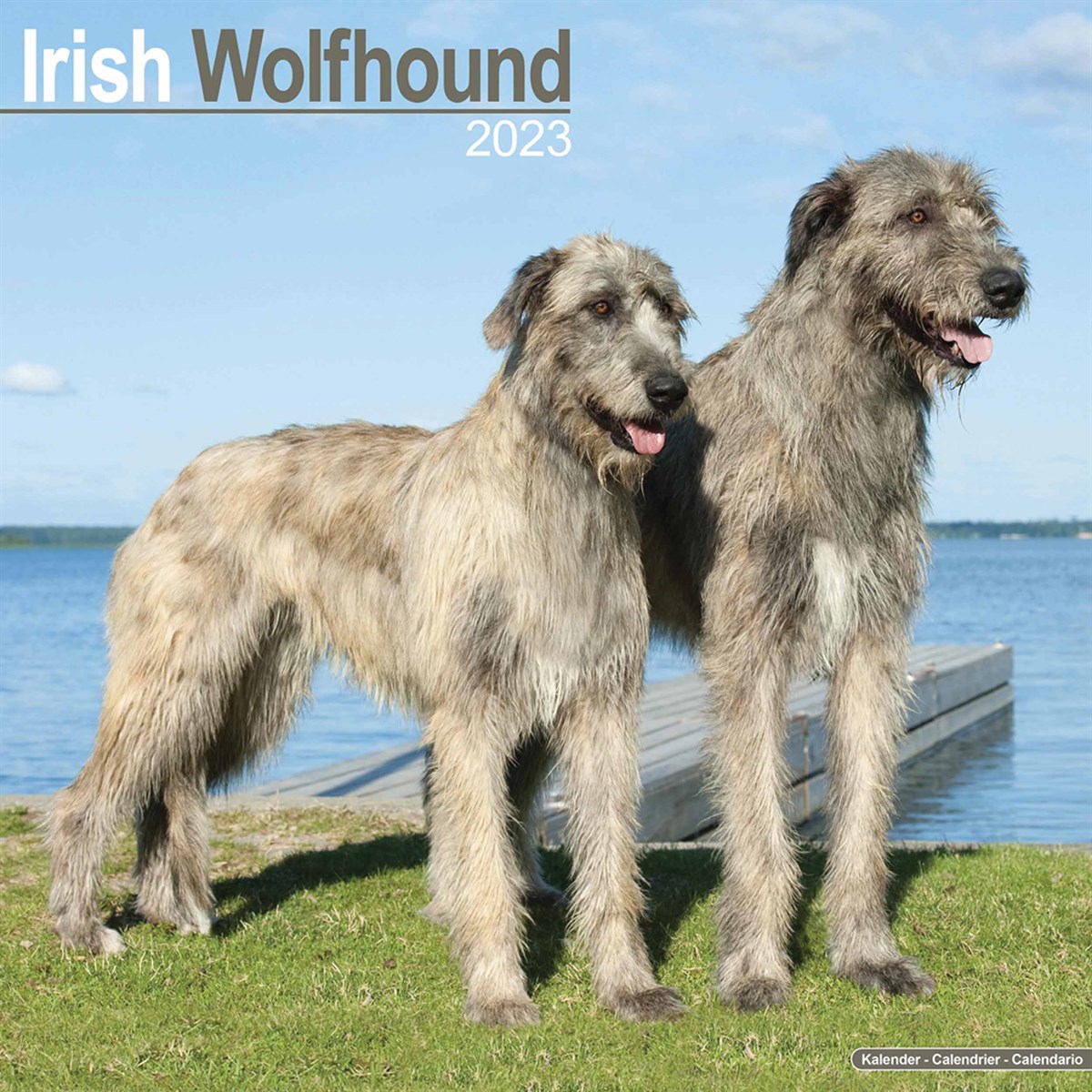 Irish Wolfhound 2023 Calendars