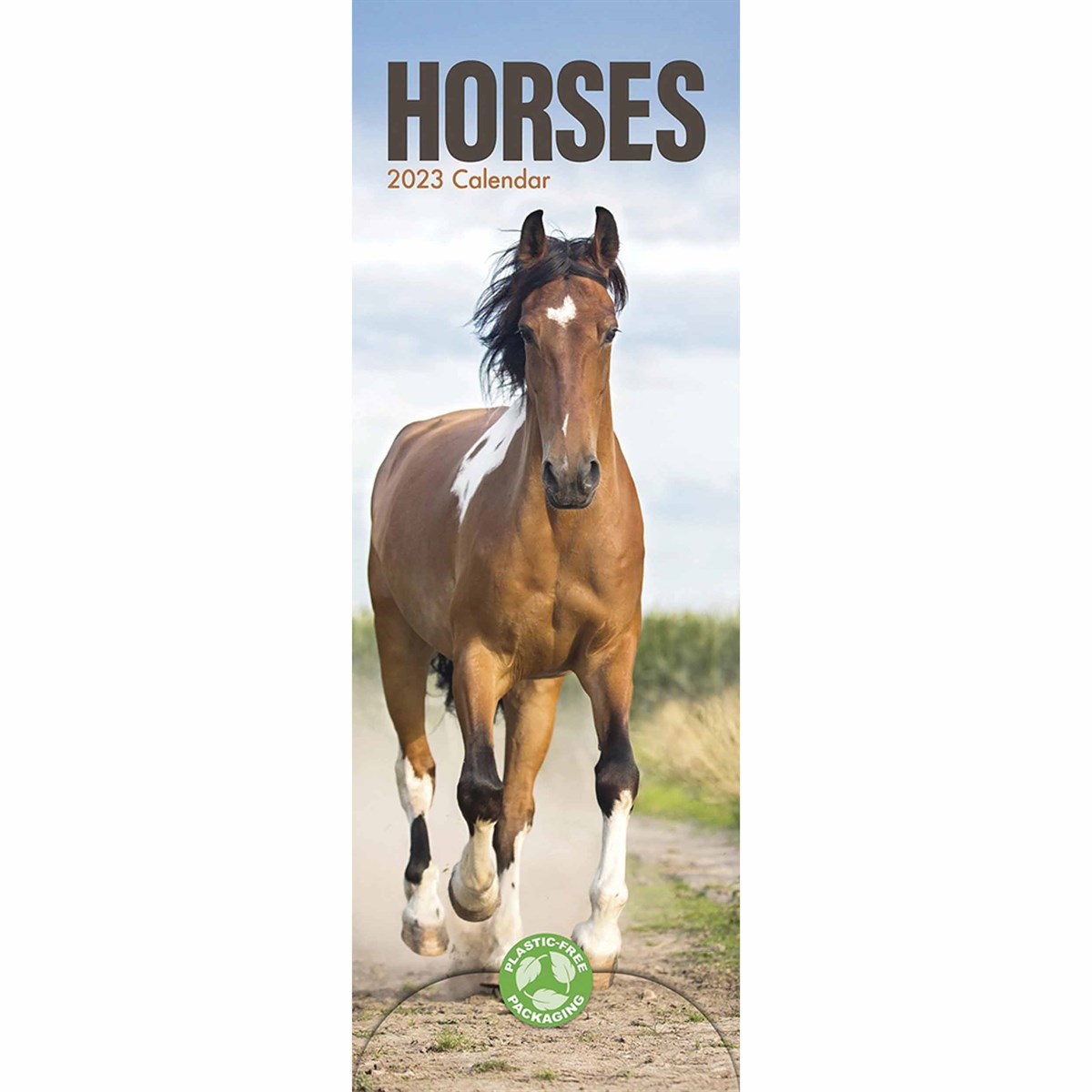 Horses Slim 2023 Calendars